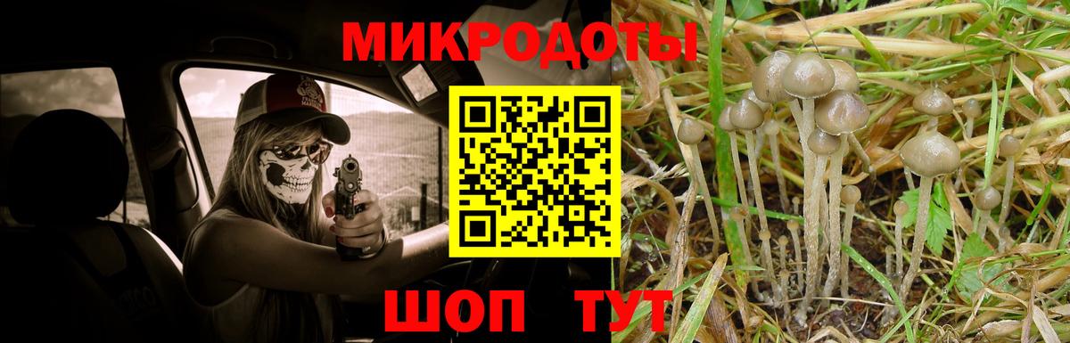 Краснокаменск  Псилоцибиновые грибы Cubensis  Галлюциногенные грибы Psilocybine cubensis  Вход с VPN 