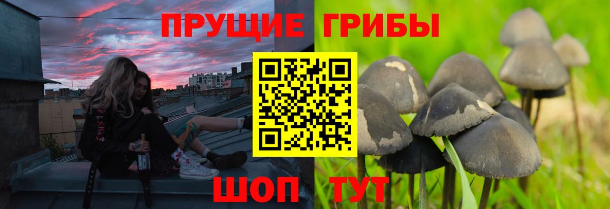 Псилоцибиновые грибы ЛСД Краснокаменск